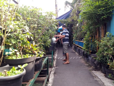 Gang Hijau