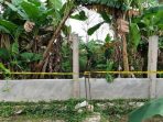 semak-semak pembuangan bayi