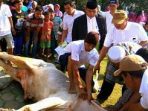 potong hewan kurban