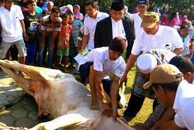 potong hewan kurban