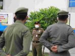 Satpol PP Jakarta