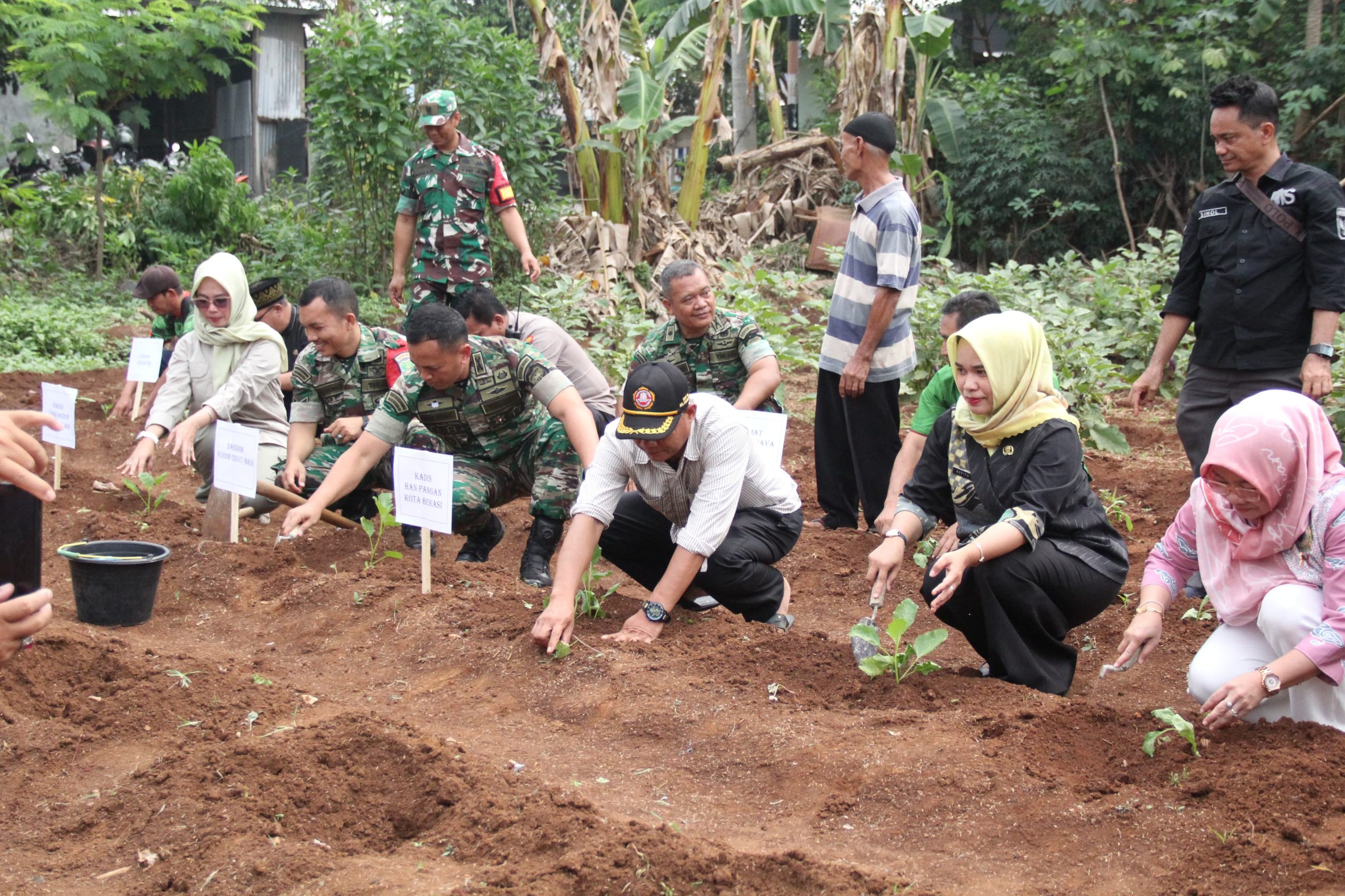 Urban Farming Kodam Jaya Tahun 2023.