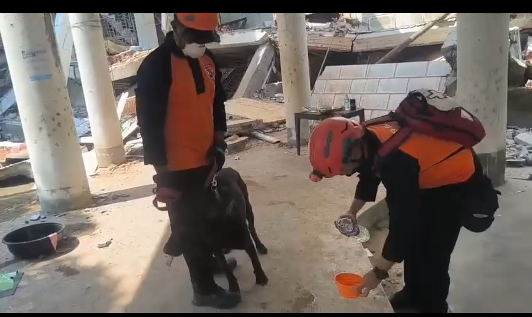 Tim Anjing Pelacak Polri