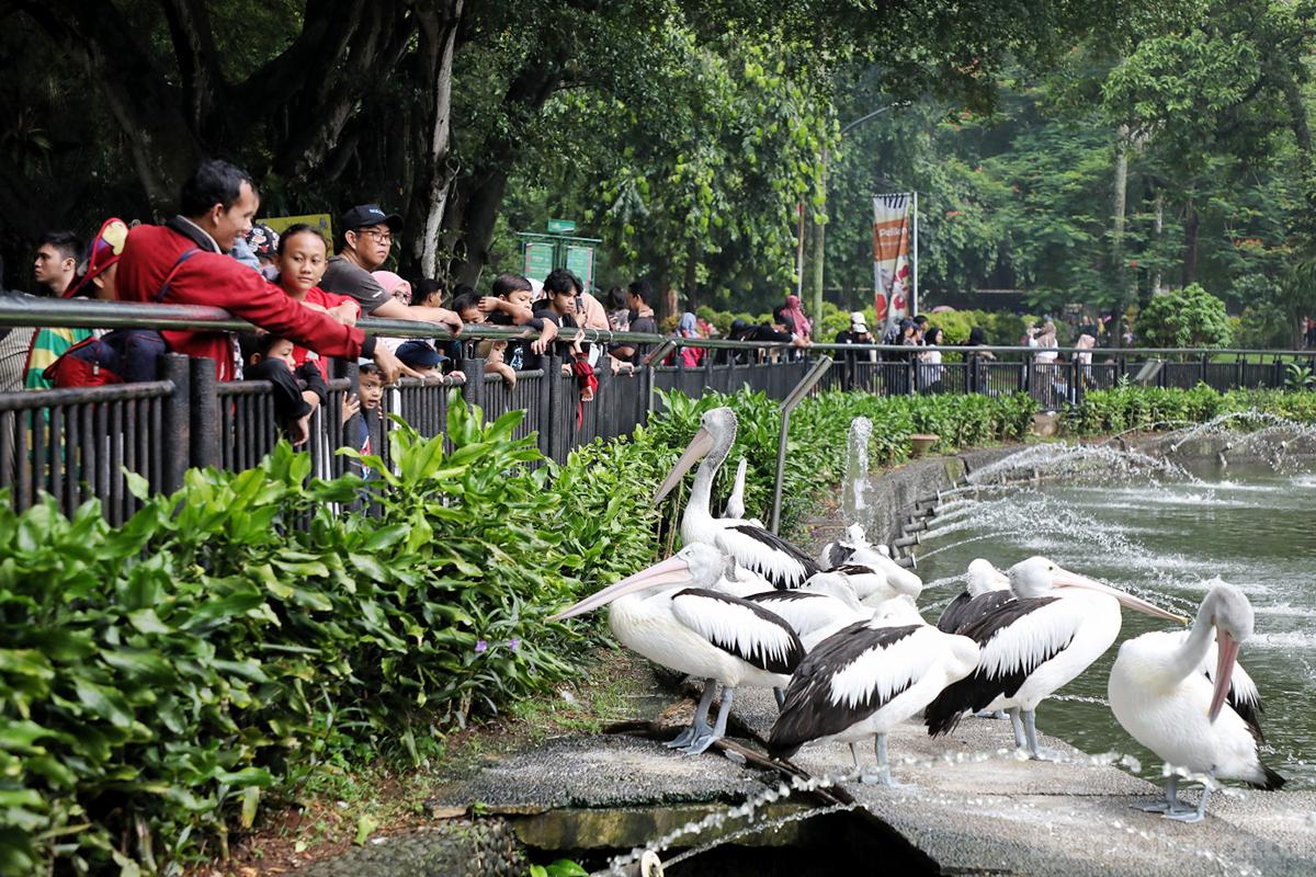 Taman Margasatwa Ragunan