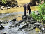 Ikan Mati di Kali Sadang Bekasi.
