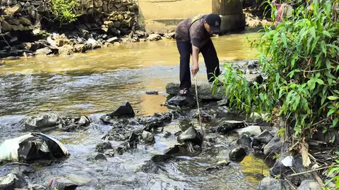 Ikan Mati di Kali Sadang Bekasi.