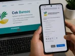 Cek Bansos & Desil.